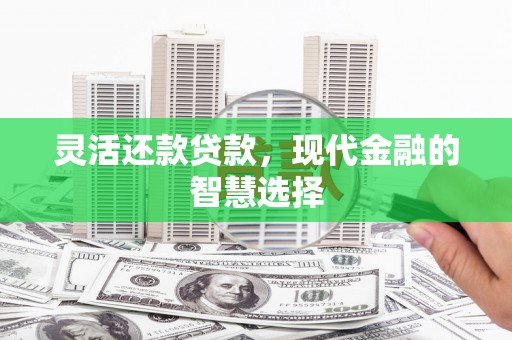 岳阳灵活还款贷款，现代金融的智慧选择