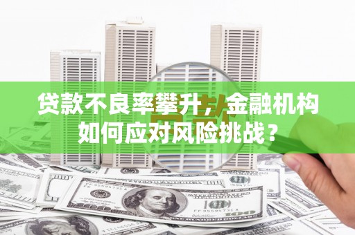 岳阳贷款不良率攀升，金融机构如何应对风险挑战？