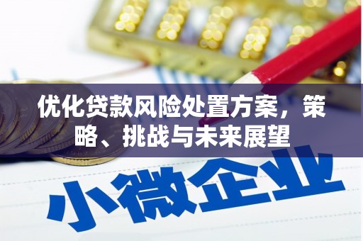 岳阳优化贷款风险处置方案，策略、挑战与未来展望