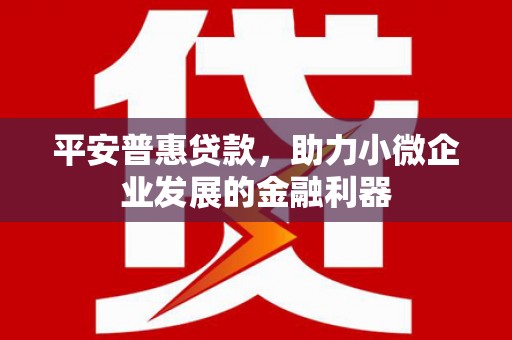 岳阳平安普惠贷款，助力小微企业发展的金融利器