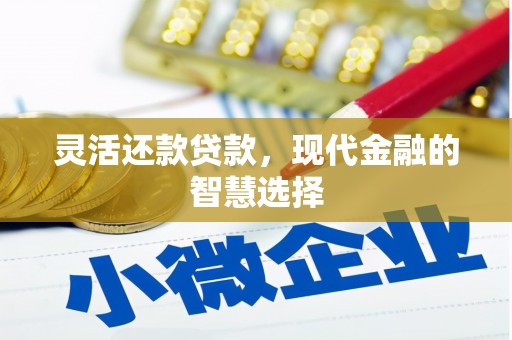 岳阳灵活还款贷款，现代金融的智慧选择