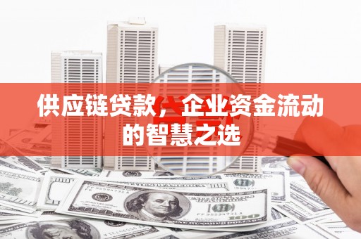 岳阳供应链贷款，企业资金流动的智慧之选