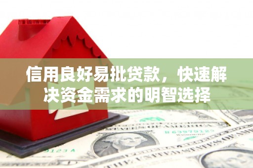 岳阳信用良好易批贷款，快速解决资金需求的明智选择
