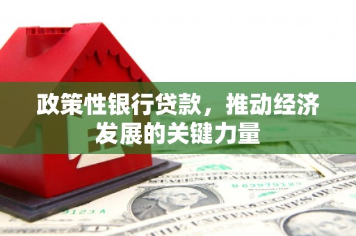 岳阳政策性银行贷款，推动经济发展的关键力量