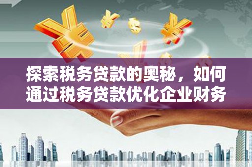 岳阳探索税务贷款的奥秘，如何通过税务贷款优化企业财务