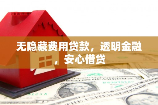 岳阳无隐藏费用贷款，透明金融，安心借贷