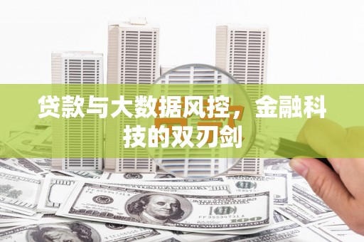 岳阳贷款与大数据风控，金融科技的双刃剑