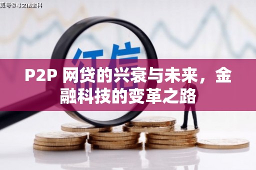 岳阳P2P 网贷的兴衰与未来，金融科技的变革之路