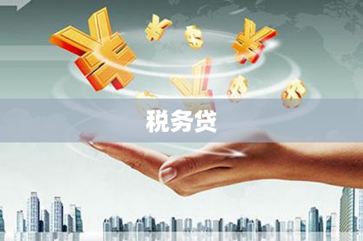 岳阳税务贷