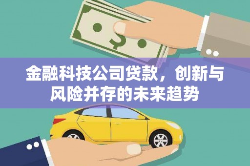 岳阳金融科技公司贷款，创新与风险并存的未来趋势