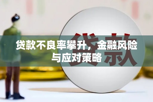 岳阳贷款不良率攀升，金融风险与应对策略