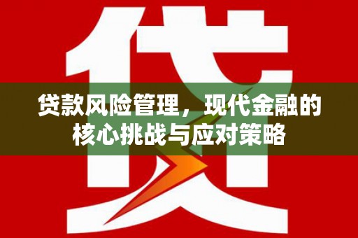 岳阳贷款风险管理，现代金融的核心挑战与应对策略