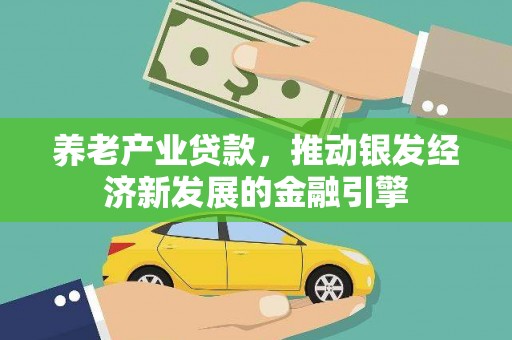岳阳养老产业贷款，推动银发经济新发展的金融引擎