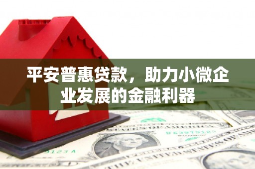岳阳平安普惠贷款，助力小微企业发展的金融利器