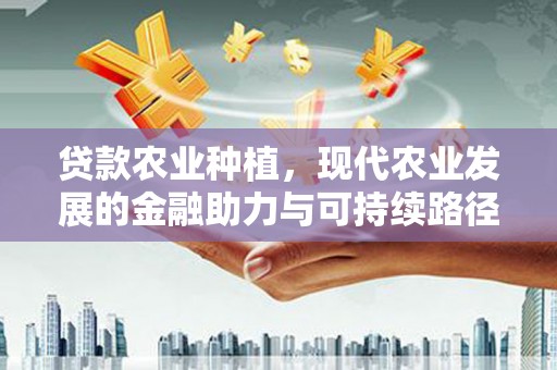 岳阳贷款农业种植，现代农业发展的金融助力与可持续路径