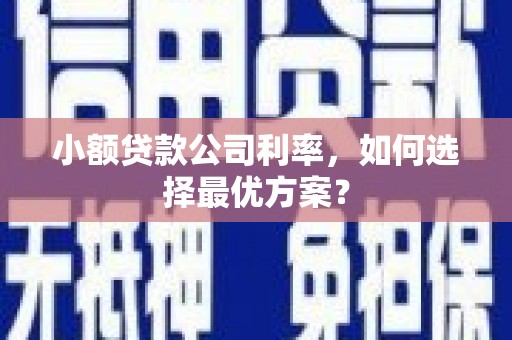 岳阳小额贷款公司利率，如何选择最优方案？