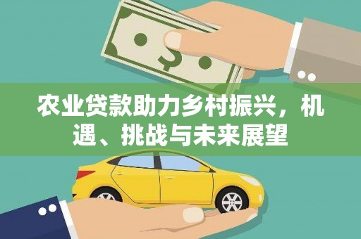 岳阳农业贷款助力乡村振兴，机遇、挑战与未来展望
