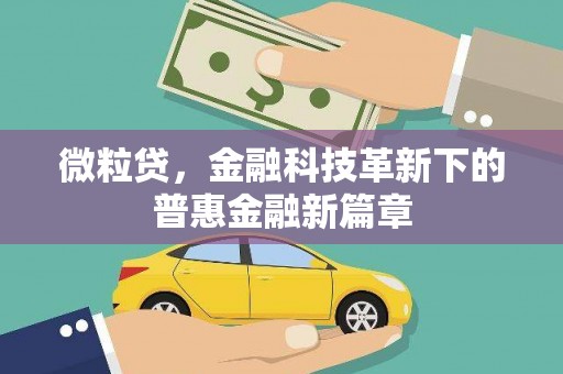 岳阳微粒贷，金融科技革新下的普惠金融新篇章