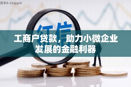 岳阳工商户贷款，助力小微企业发展的金融利器