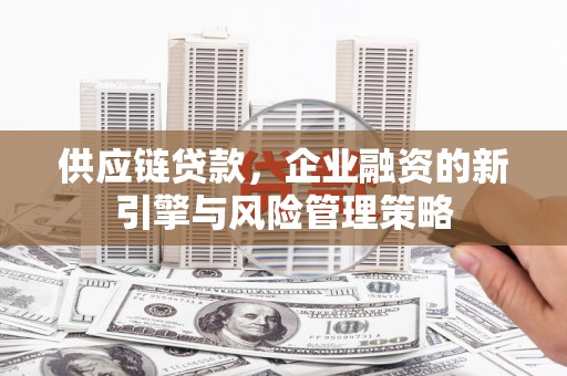 岳阳供应链贷款，企业融资的新引擎与风险管理策略