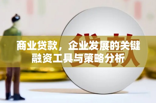 岳阳商业贷款，企业发展的关键融资工具与策略分析