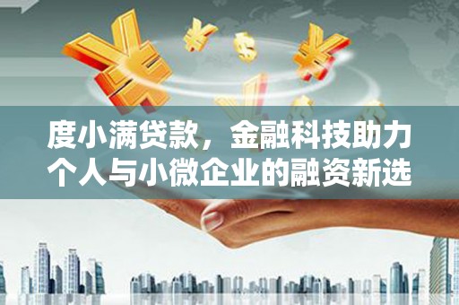 岳阳度小满贷款，金融科技助力个人与小微企业的融资新选择