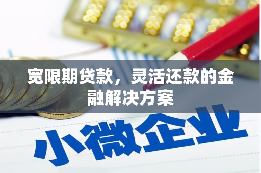 岳阳宽限期贷款，灵活还款的金融解决方案