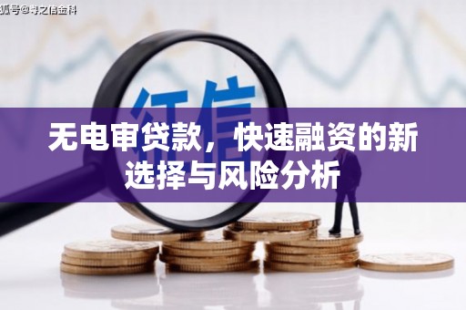 岳阳无电审贷款，快速融资的新选择与风险分析