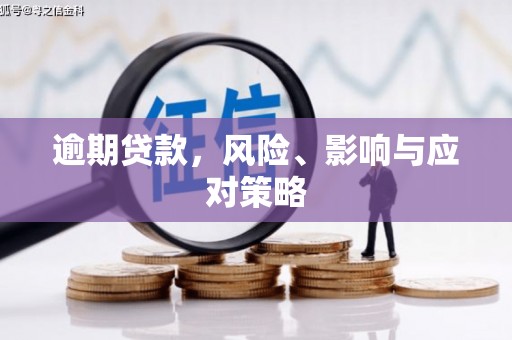 岳阳逾期贷款，风险、影响与应对策略