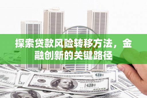 岳阳探索贷款风险转移方法，金融创新的关键路径