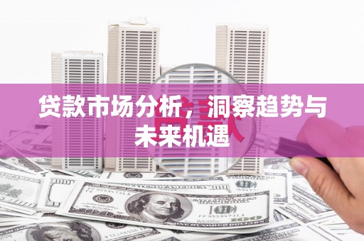 岳阳贷款市场分析，洞察趋势与未来机遇