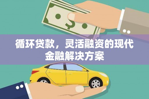 岳阳循环贷款，灵活融资的现代金融解决方案