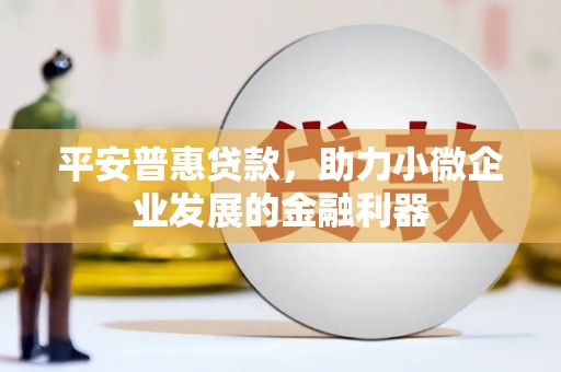 岳阳平安普惠贷款，助力小微企业发展的金融利器