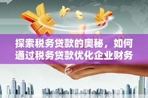 岳阳探索税务贷款的奥秘，如何通过税务贷款优化企业财务