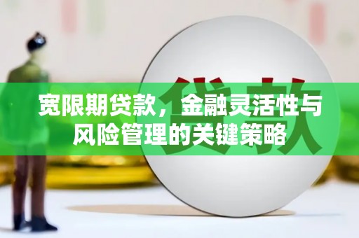 岳阳宽限期贷款，金融灵活性与风险管理的关键策略