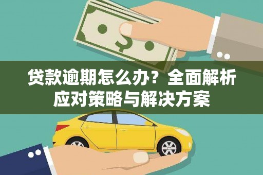 岳阳贷款逾期怎么办？全面解析应对策略与解决方案