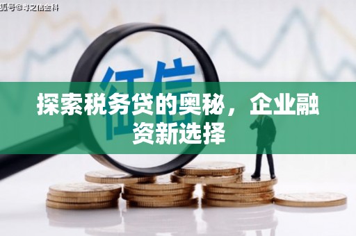 岳阳探索税务贷的奥秘，企业融资新选择