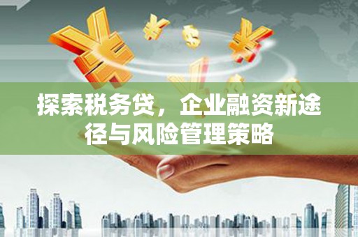 岳阳探索税务贷，企业融资新途径与风险管理策略