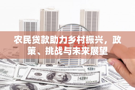 岳阳农民贷款助力乡村振兴，政策、挑战与未来展望