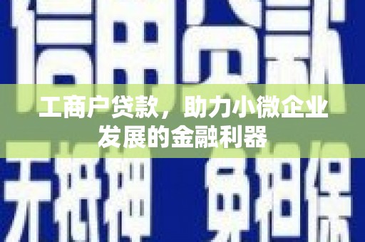 岳阳工商户贷款，助力小微企业发展的金融利器