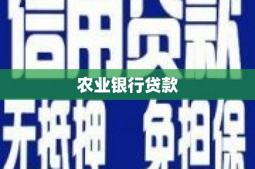 岳阳农业银行贷款
