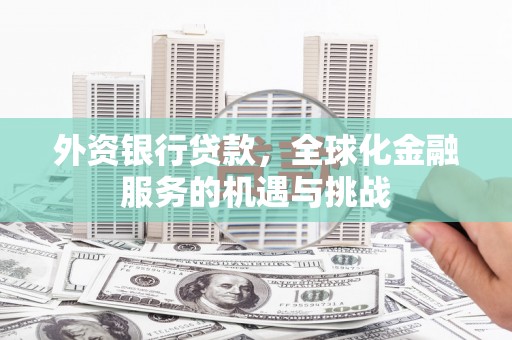 岳阳外资银行贷款，全球化金融服务的机遇与挑战