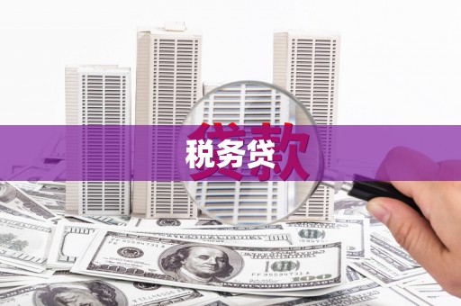岳阳税务贷