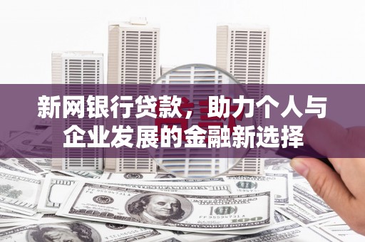 岳阳新网银行贷款，助力个人与企业发展的金融新选择