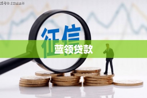 岳阳蓝领贷款