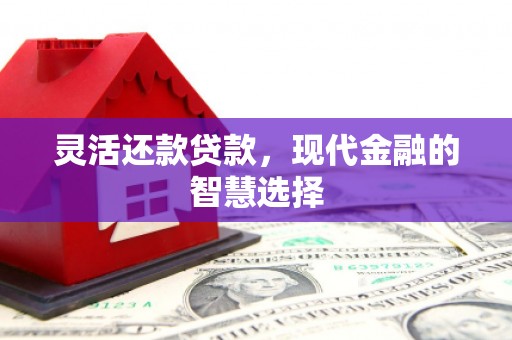 岳阳灵活还款贷款，现代金融的智慧选择