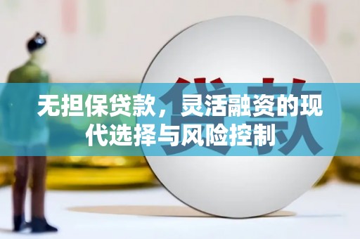 岳阳无担保贷款，灵活融资的现代选择与风险控制