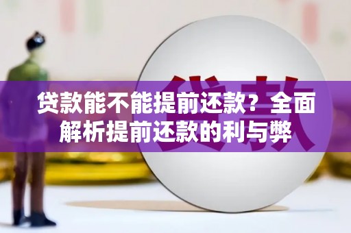 岳阳贷款能不能提前还款？全面解析提前还款的利与弊