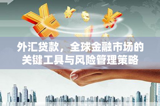 岳阳外汇贷款，全球金融市场的关键工具与风险管理策略