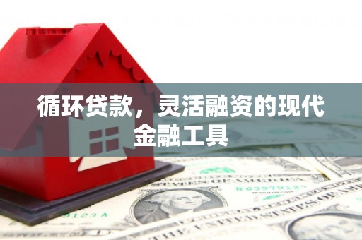 岳阳循环贷款，灵活融资的现代金融工具